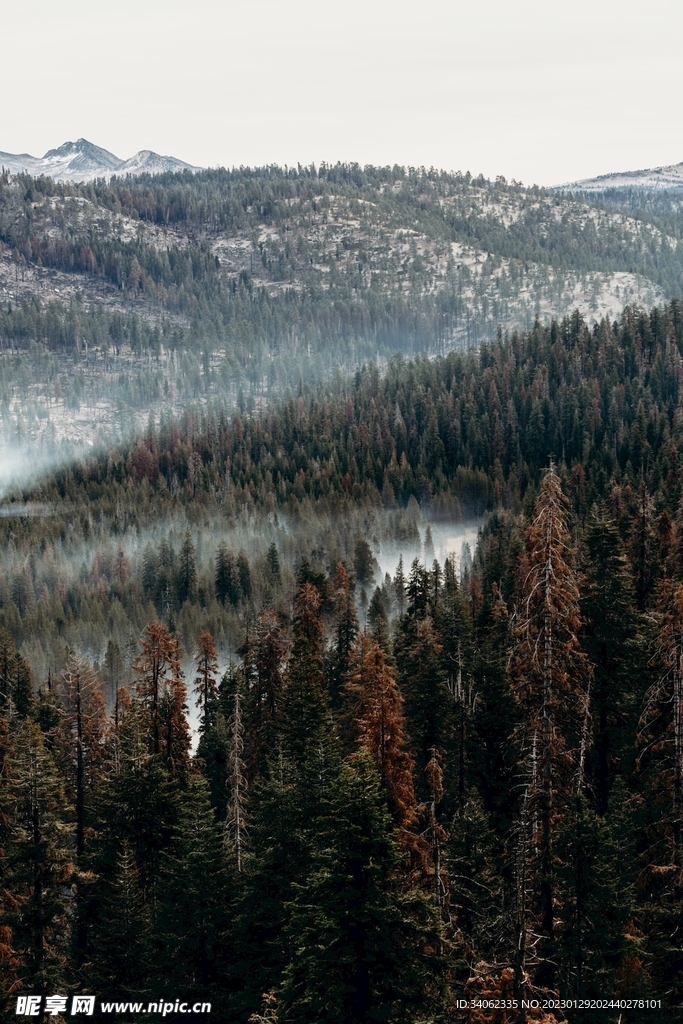 山