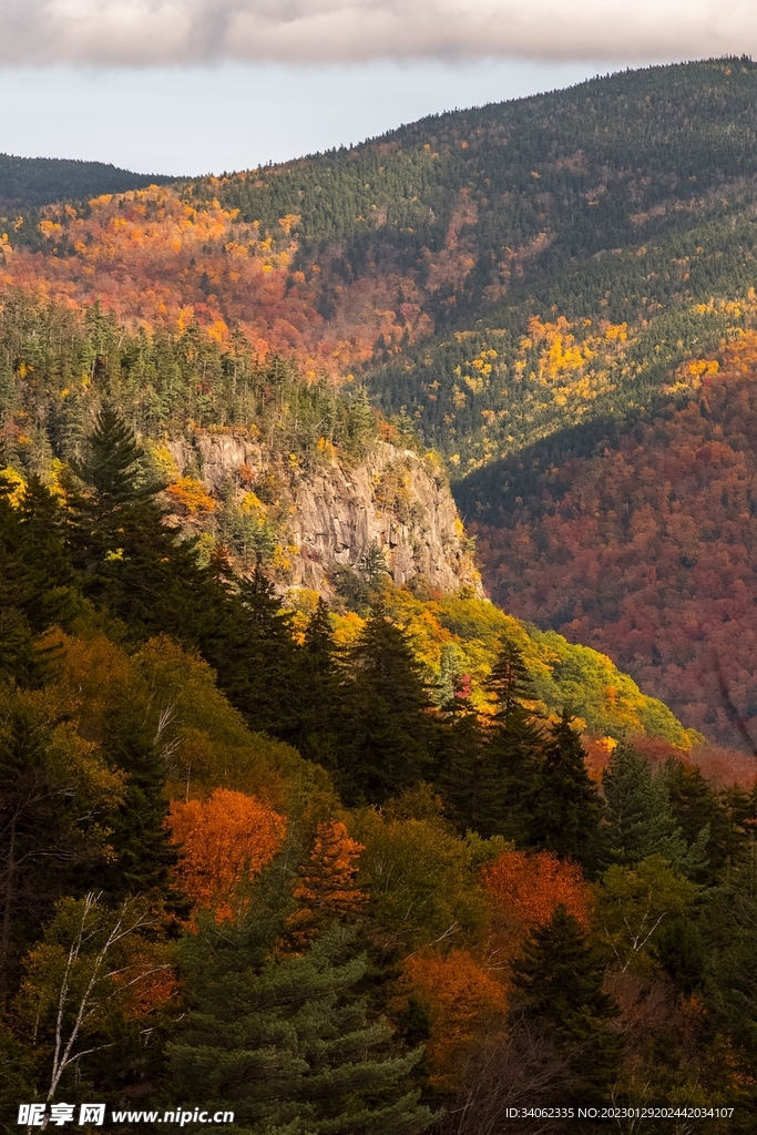 山