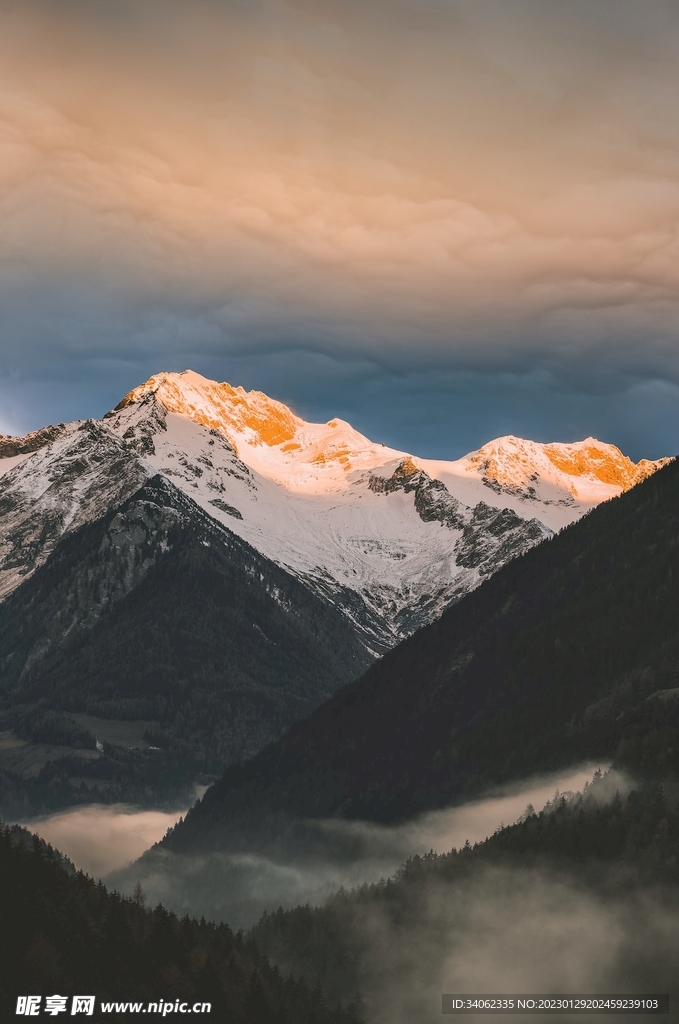 山
