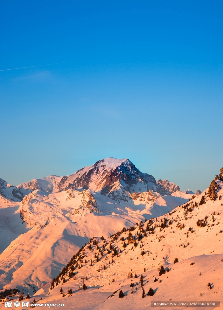 山