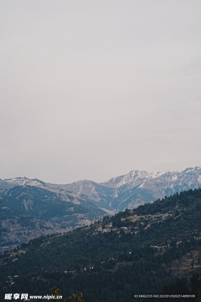 山