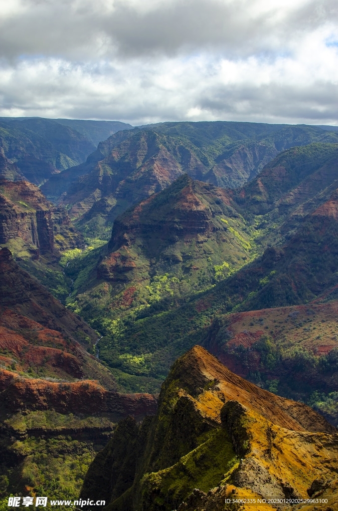 山