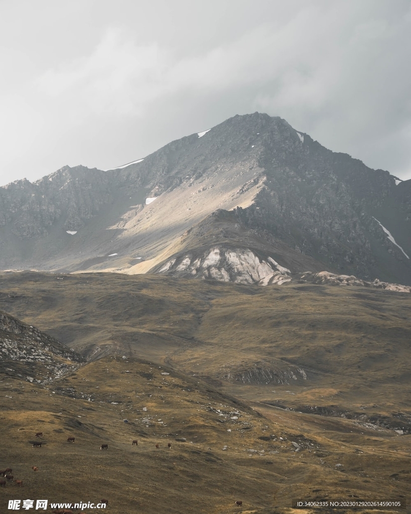 山