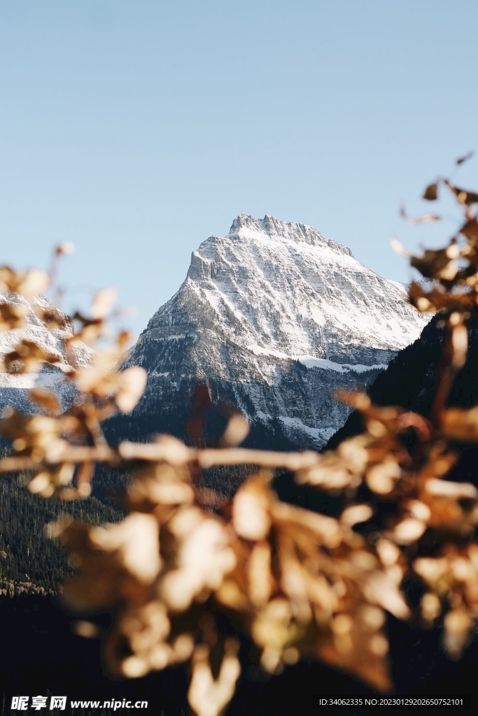 山