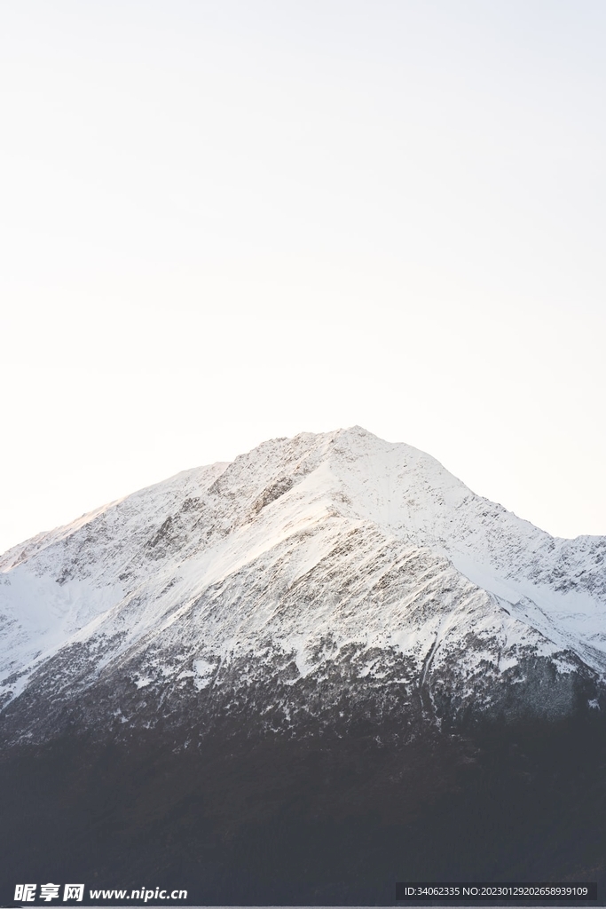 山