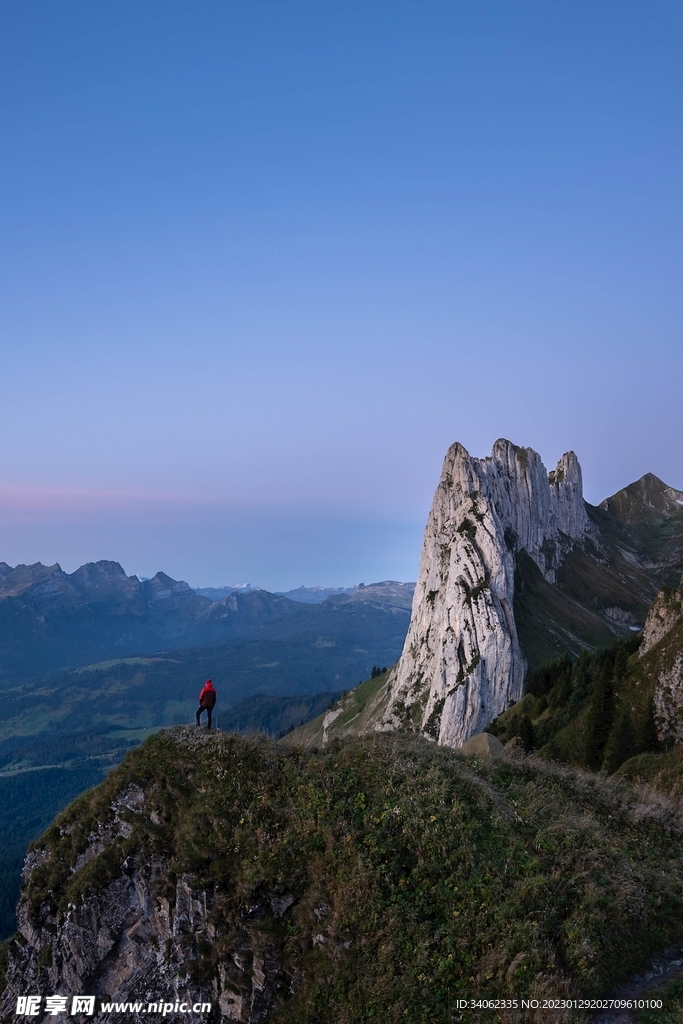 山