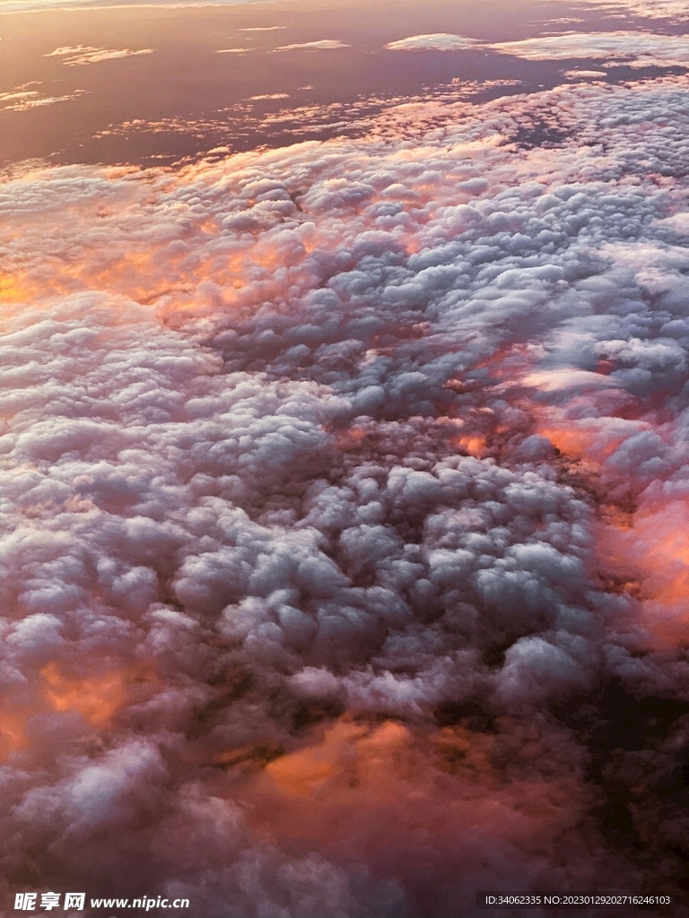 山