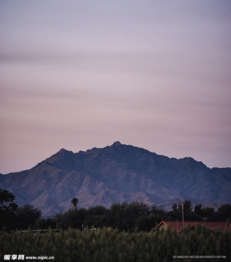 山