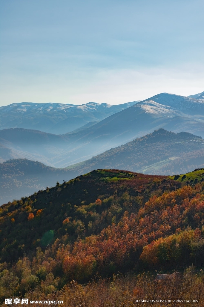 山