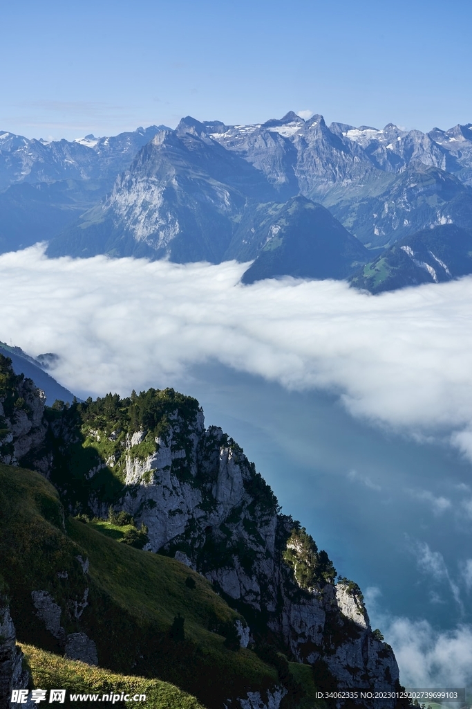山