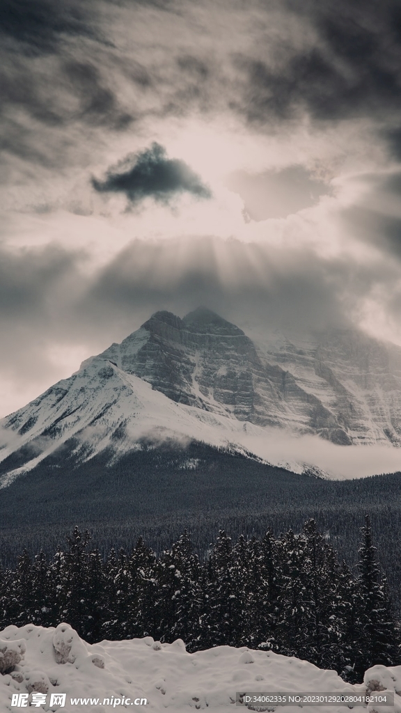 山