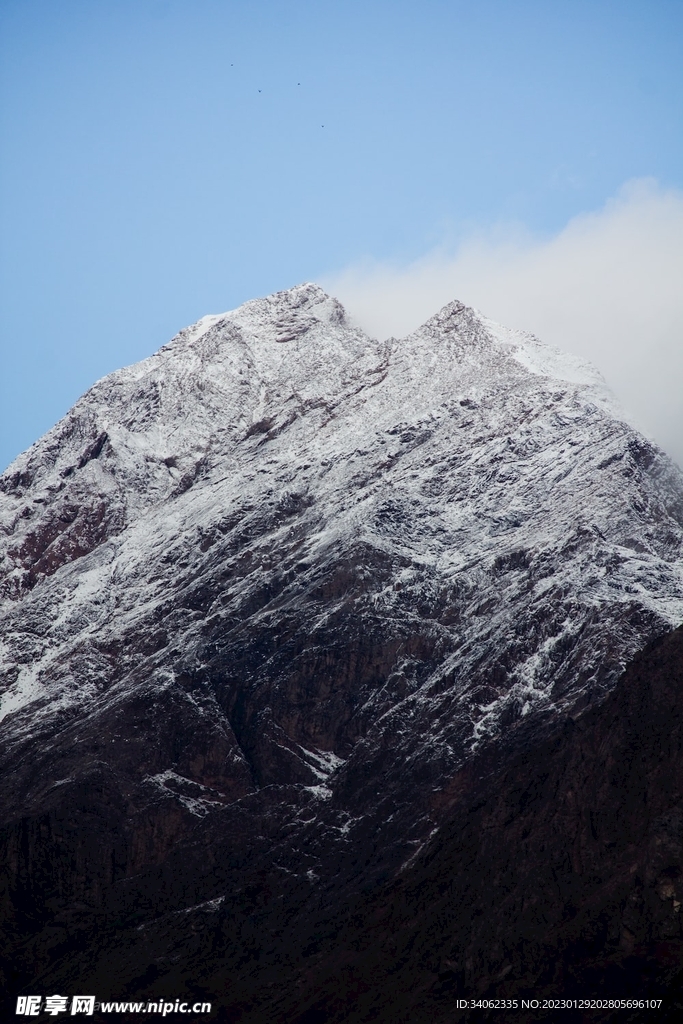 山