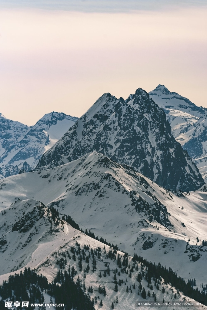 山