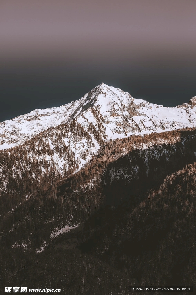 山