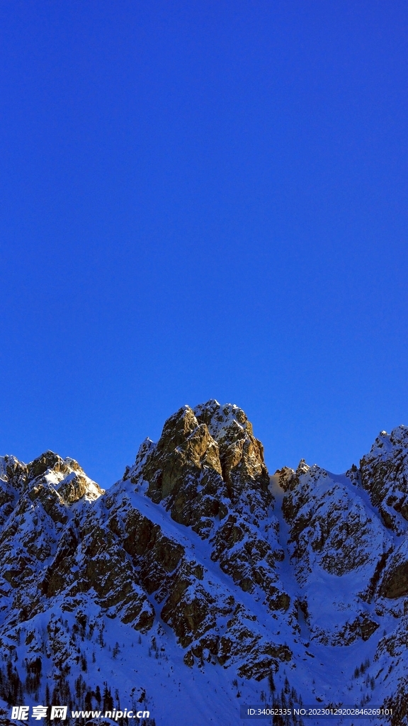山