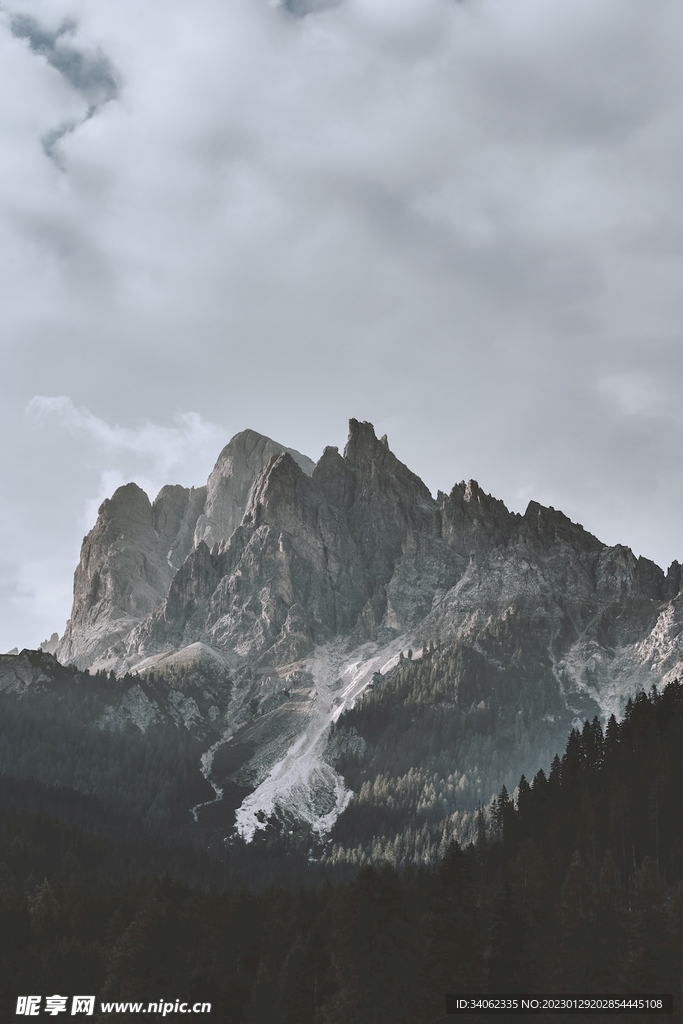 山