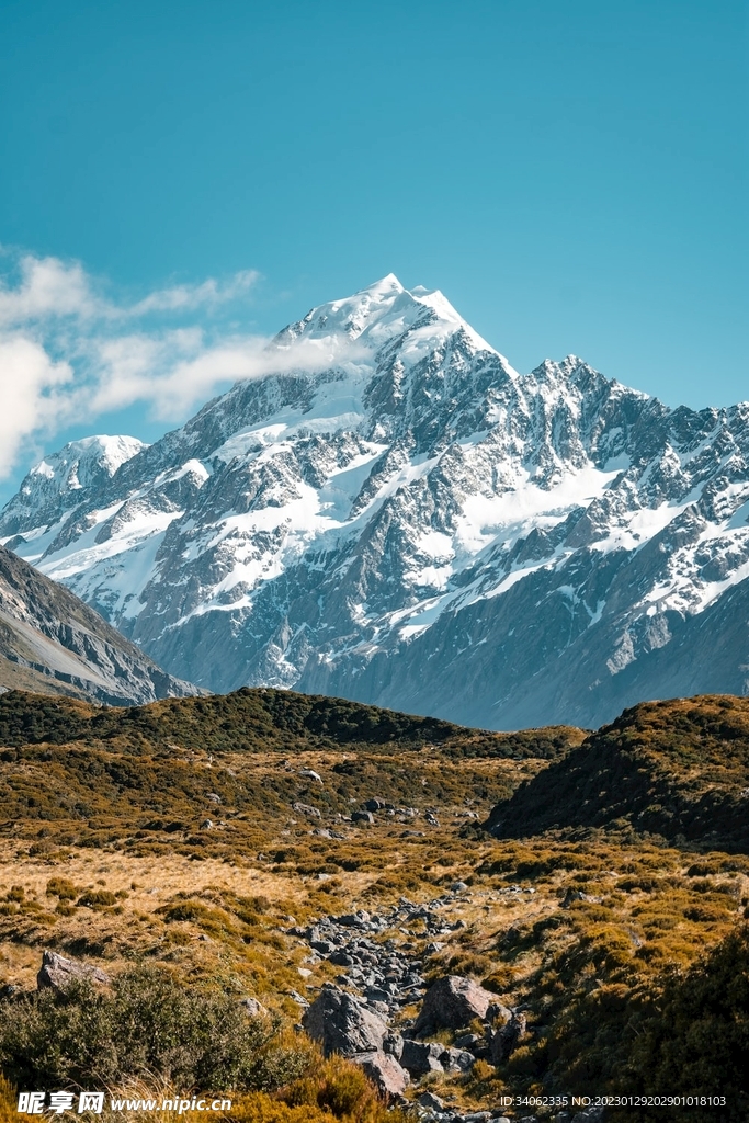 山