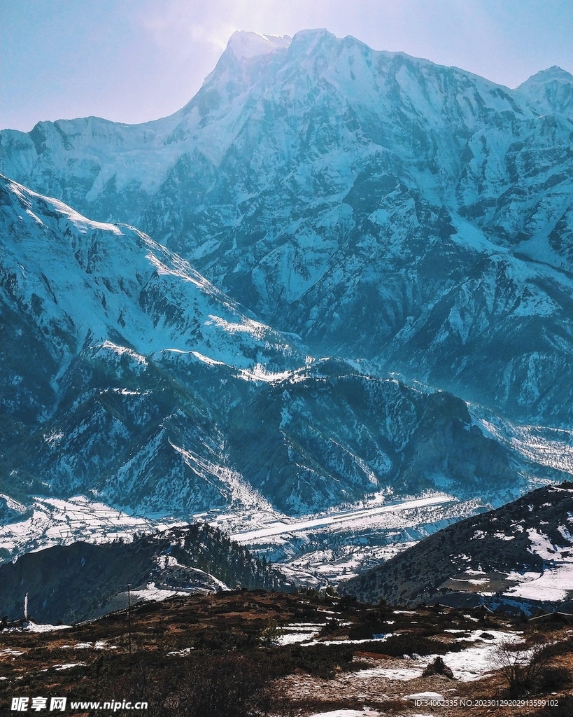 山