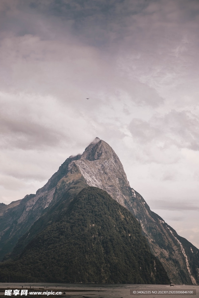 山