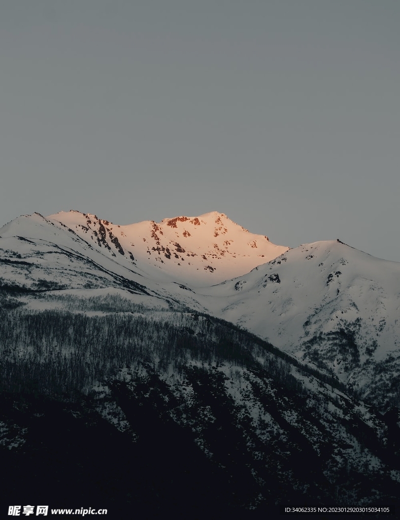 山