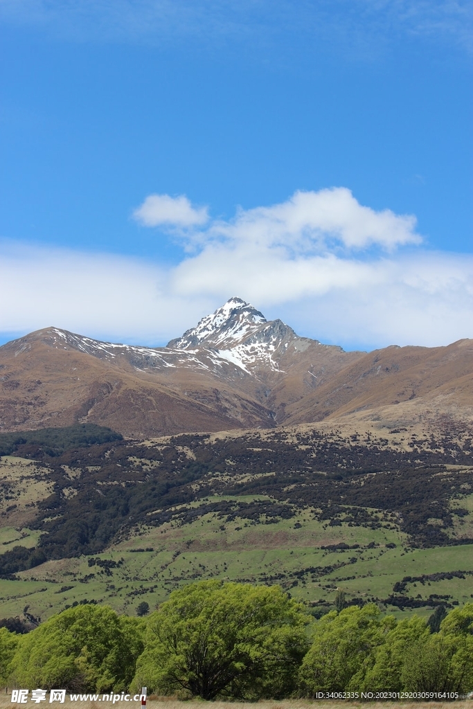 山