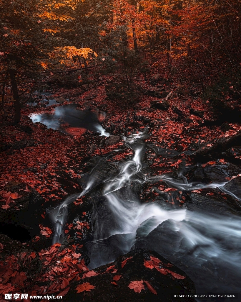 山