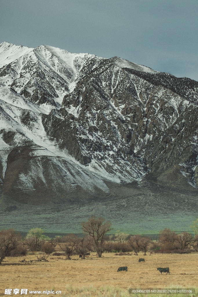 山