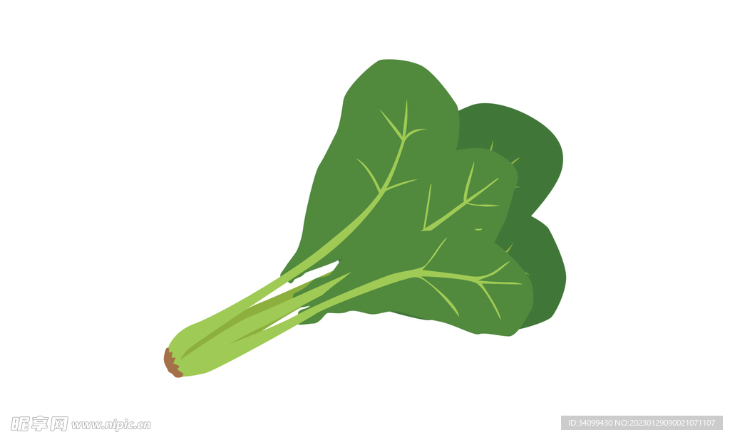 卡通菠菜