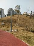 小路