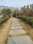 路