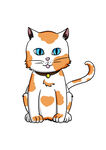 猫