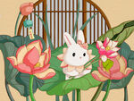 兔年十二花神之六月荷花