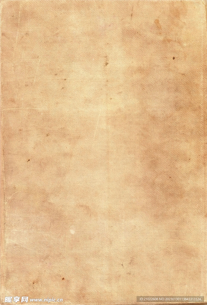 纸纹
