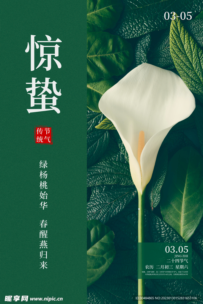 绿色惊蛰海报