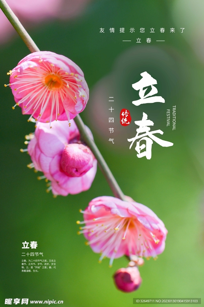 立春 