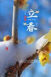 立春 