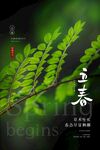 立春 
