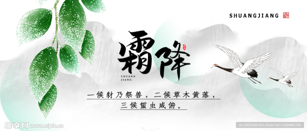 霜降公众号首图banner