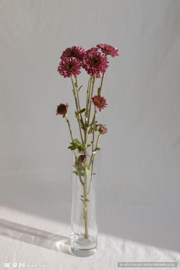 插花