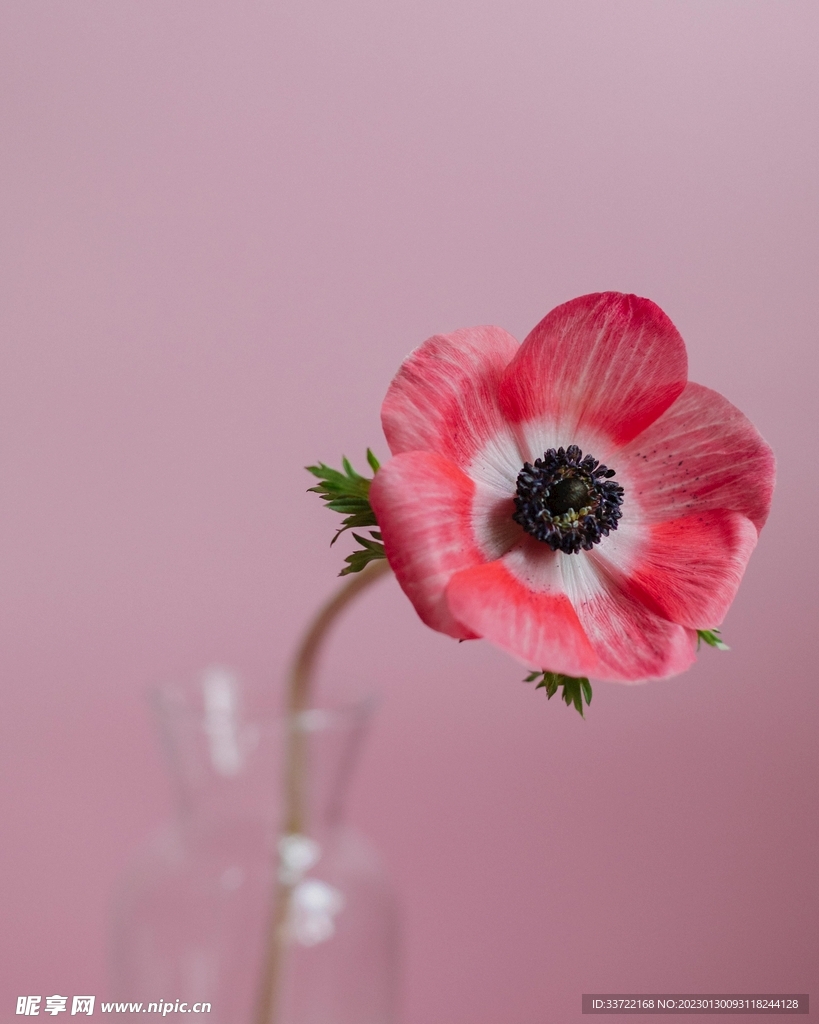 插花