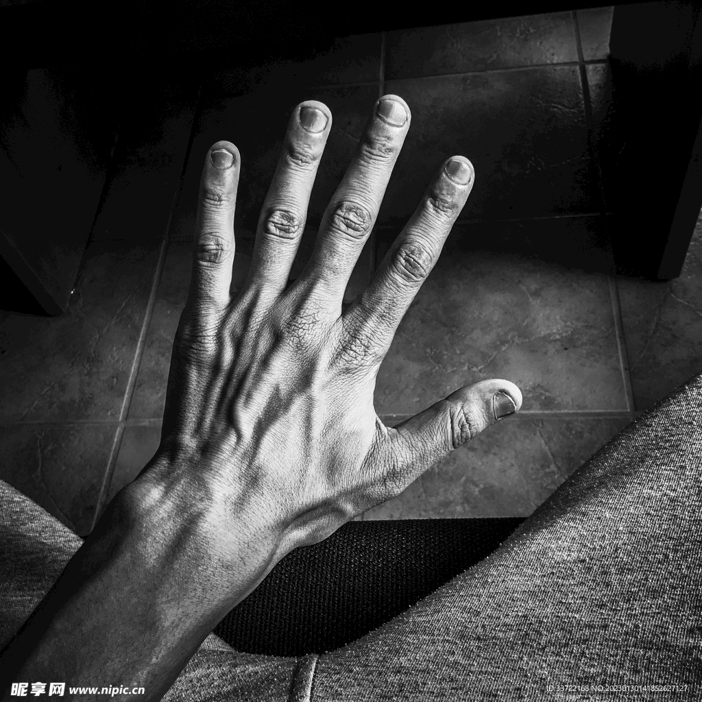 手