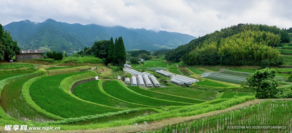 梯田