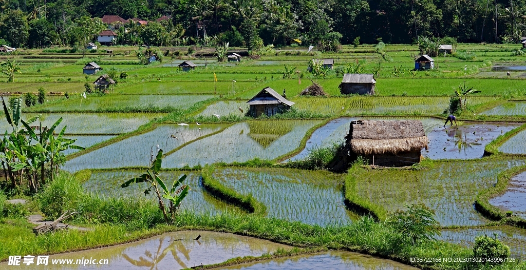 梯田