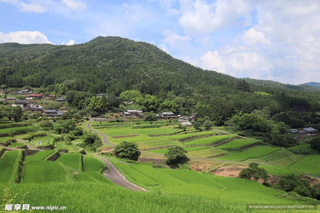 梯田