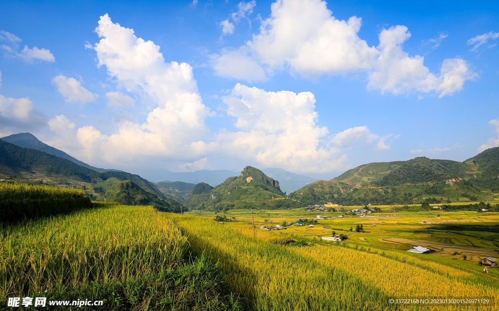 梯田