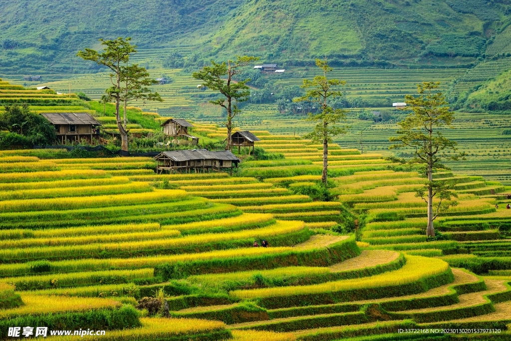 梯田