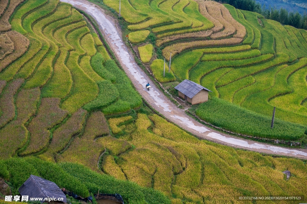 梯田