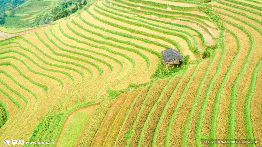 梯田