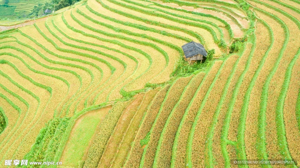梯田