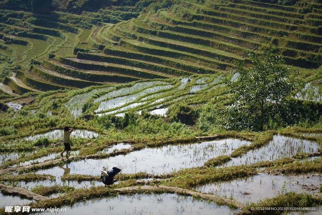 梯田